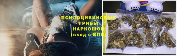 соль ск Пестово
