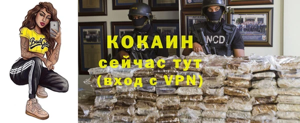ГАЛЛЮЦИНОГЕННЫЕ ГРИБЫ Переславль-Залесский