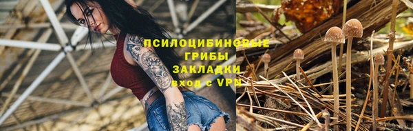 соль ск Пестово