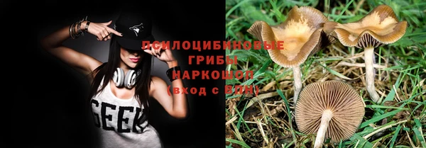 mix Пересвет